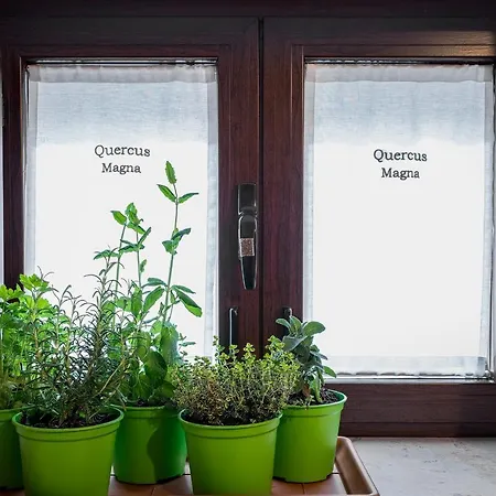 Appartement Trulli Quercus Alberobello